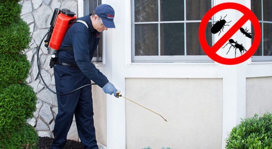 Dumlupınar Dezenfeksiyon böcek ilaçlama ve haşere kontrolü — ilaclama-tr.com